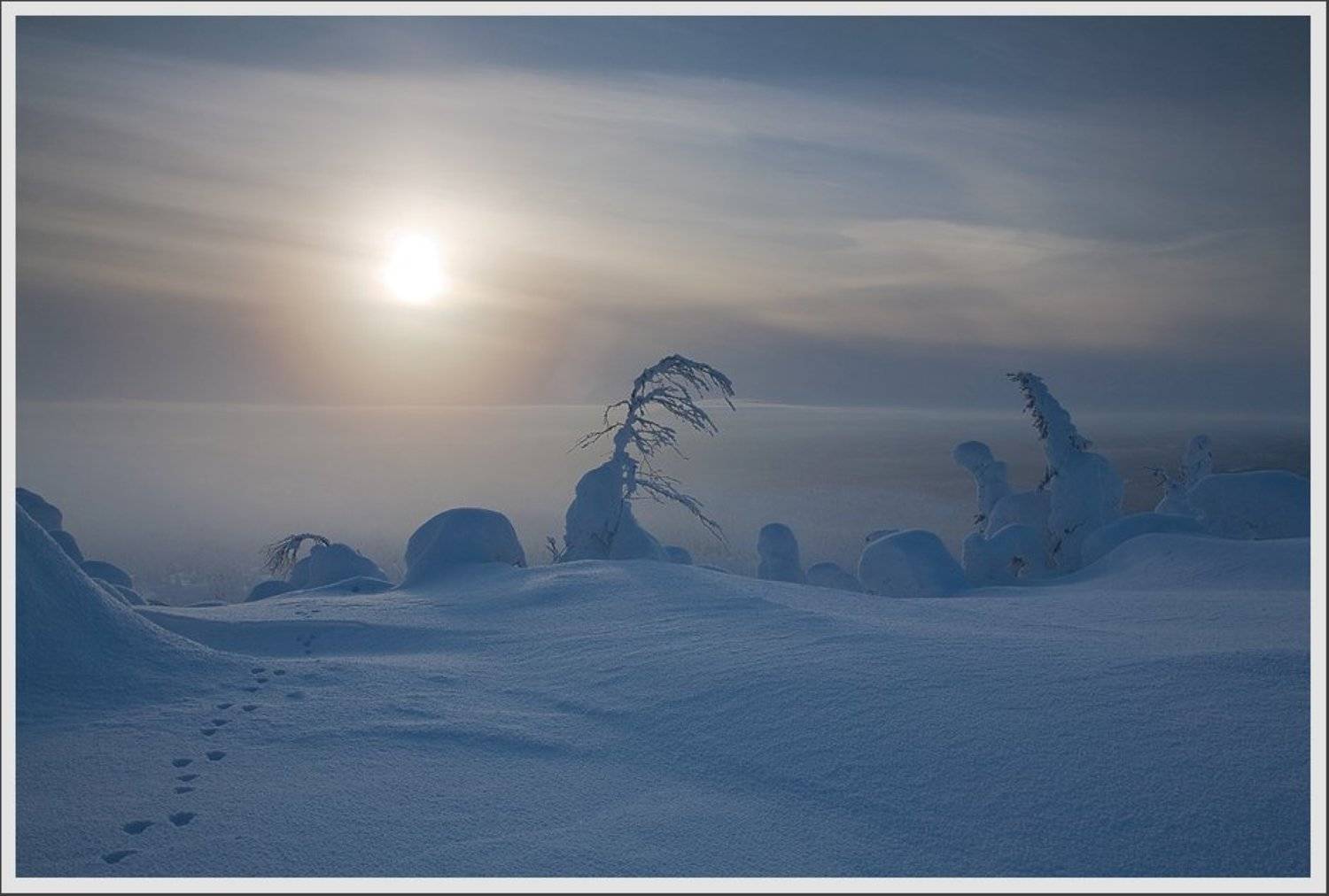 , Сергей Захаров.