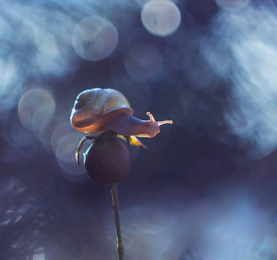 , Pawel Plucinski