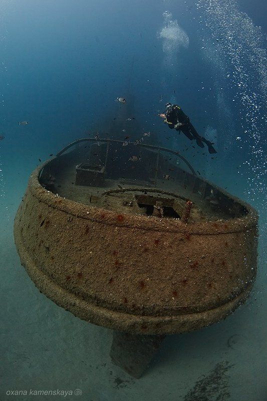 Rozi фото превью