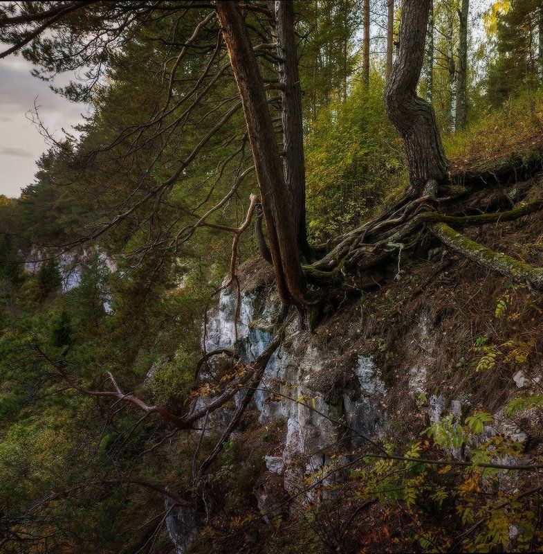 Вечер на реке Держа фото превью