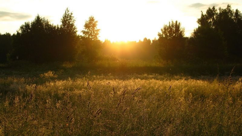 Рассвет фото превью