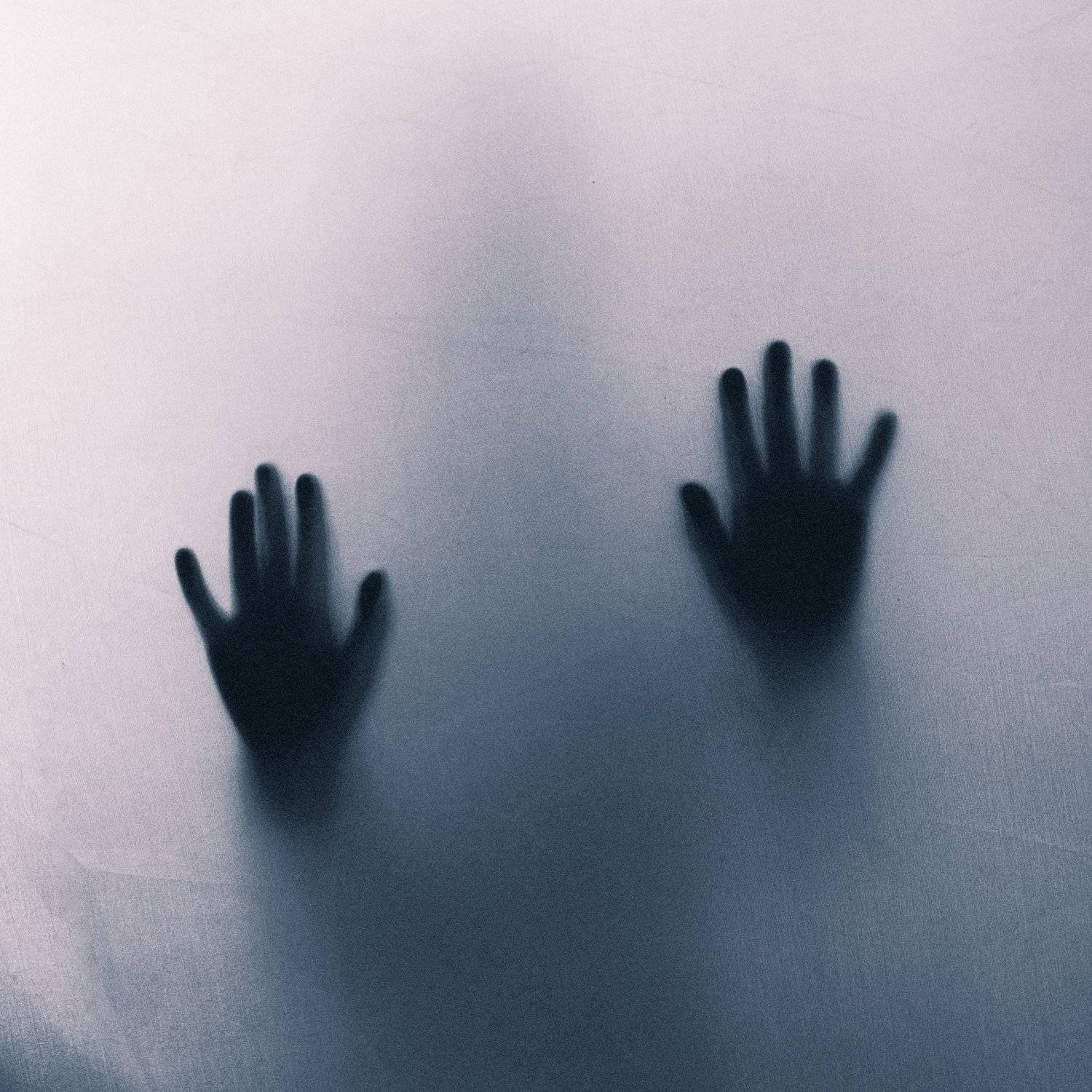 , Елизавета Душечкина