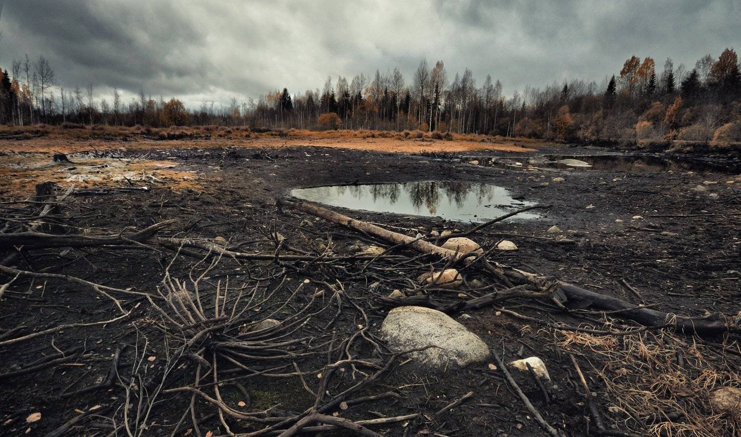 , Андрей Куликов