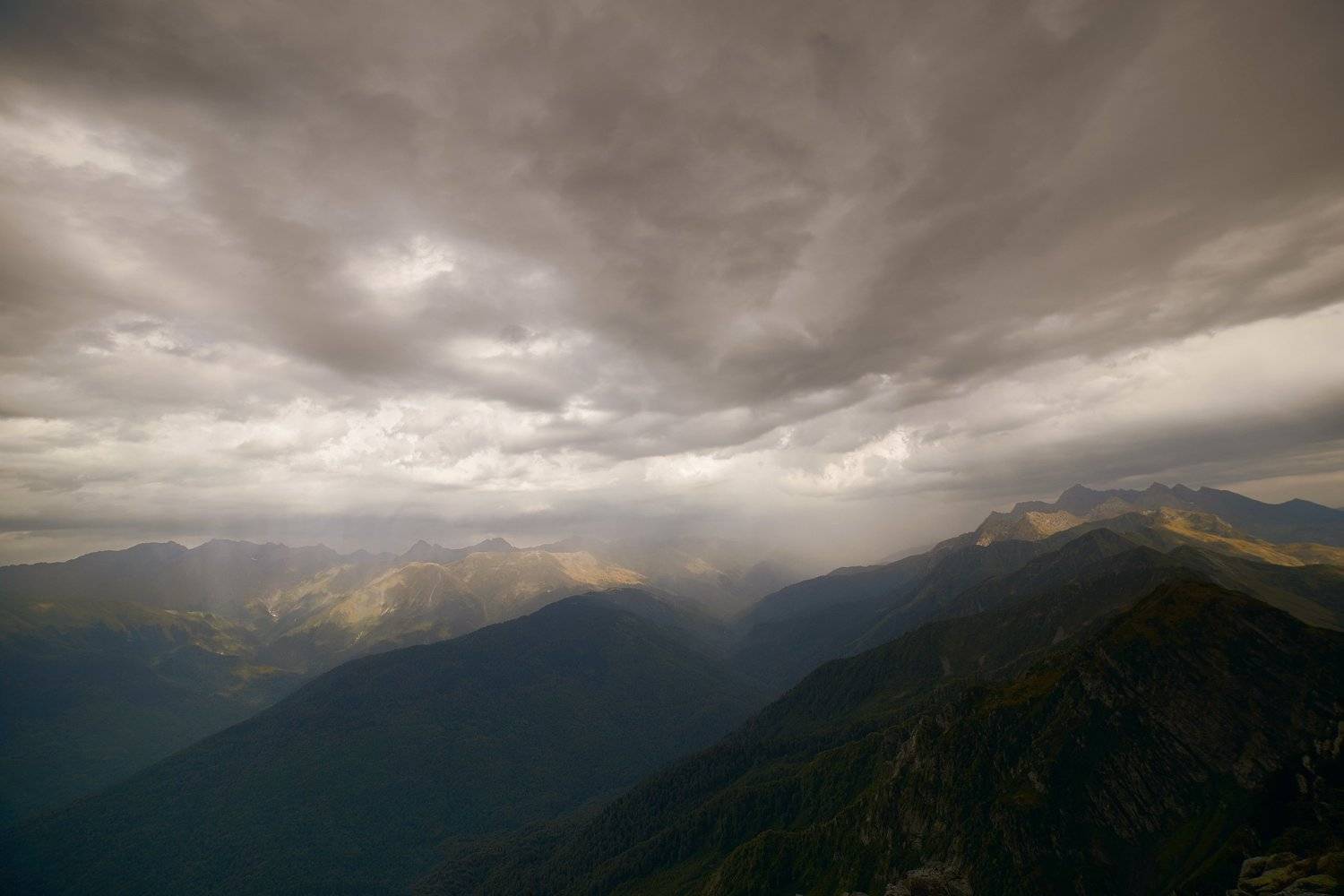 , Гоголев Андрей