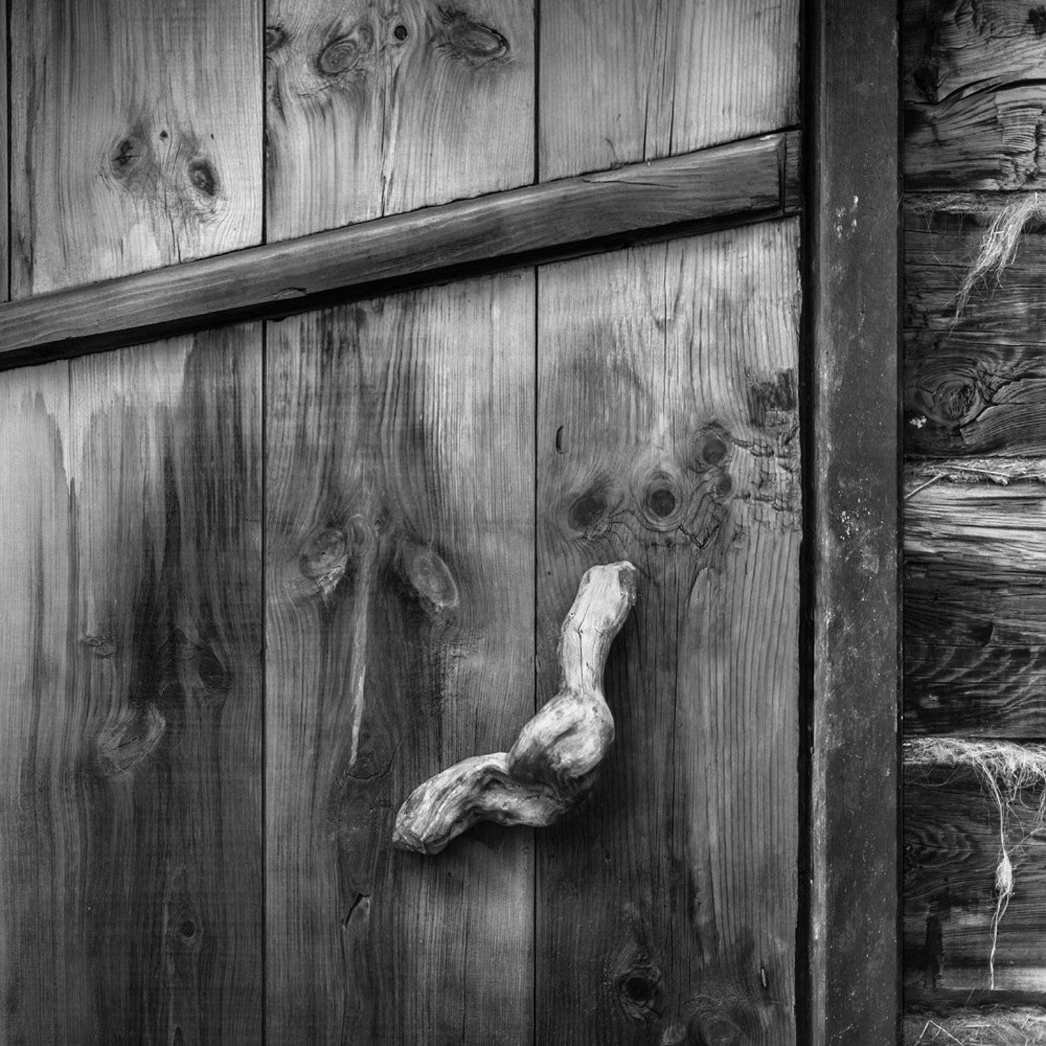 дверь, чб, чернобелое, дерево, линии, фактура, ручка, рукоятка, юрта, наблюдение, Дмитрий Антипов