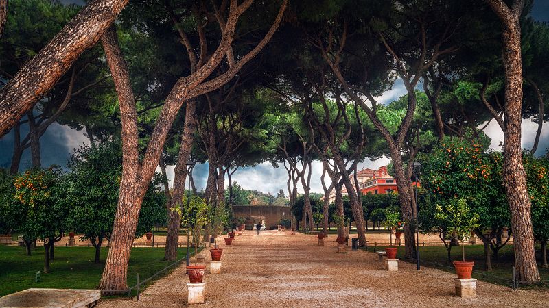 Апельсиновые сады на холме Авентин фото превью