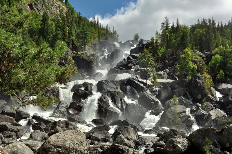 ревущий Учар фото превью