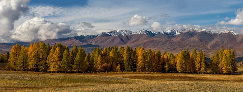 Алтай, Горный Алтай, Осень, Курай Осенние краски Алтая фото превью
