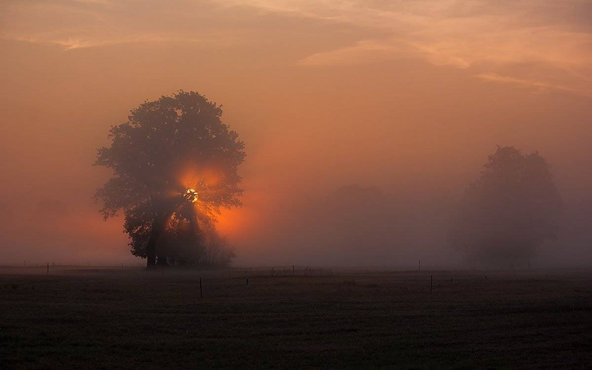 , Pawel Plucinski