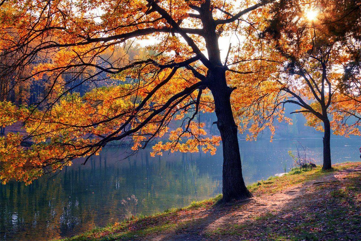 , Инна Богуславская