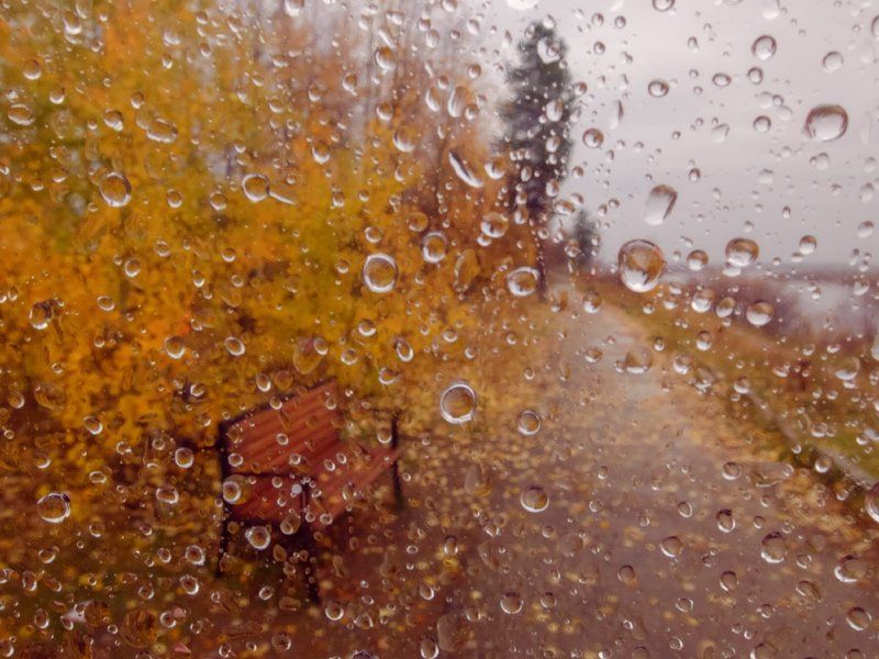 дождь, коми, печора, север, сентябрь Дождливый сентябрь фото превью