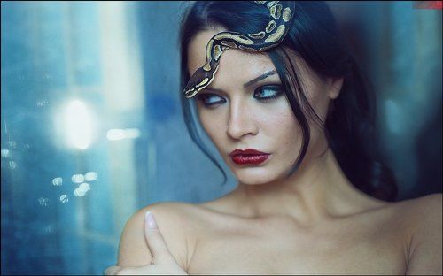 Sign Of Snake ©