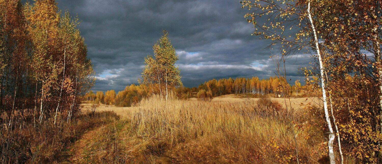 осень, Свистков Александр