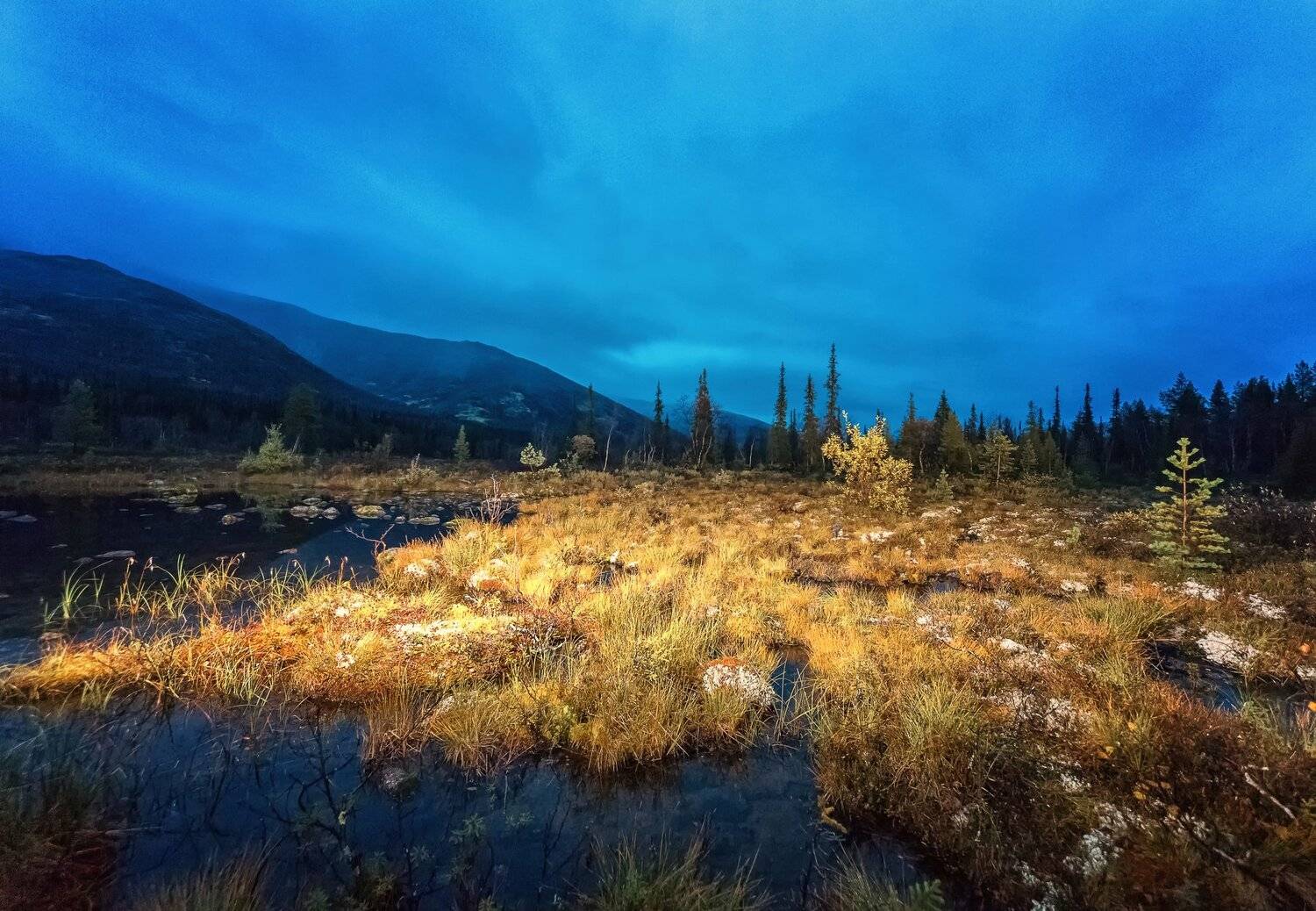 #природа #Россия #colour #colourful #forest #autumn #snow #russia #nature #nationalgeographic #travel #water #love #lovethis #canon #кольский #кольскийполуостров #natureonly #tree #traveltheworld #september #view #beautiful #photographer #river #feo_man #, Александр Романов