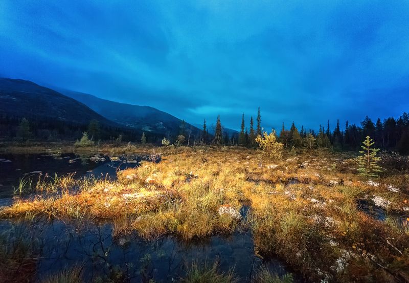 #природа #Россия #colour #colourful #forest #autumn #snow #russia #nature #nationalgeographic #travel #water #love #lovethis #canon #кольский #кольскийполуостров #natureonly #tree #traveltheworld #september #view #beautiful #photographer #river #feo_man # Хибины фото превью