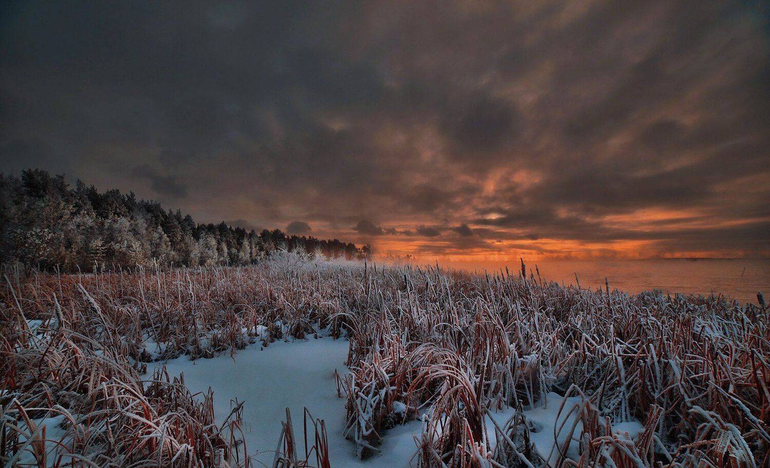 , Борис Полозков