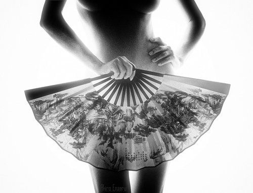 The Fan