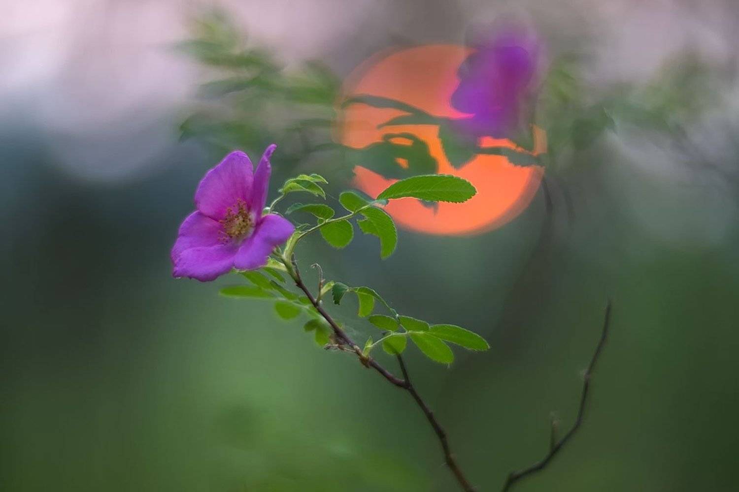 , Сергей Брагин