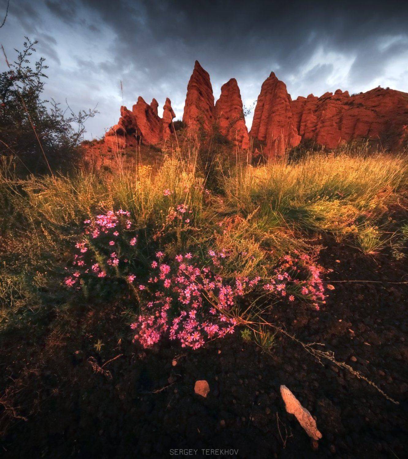 Казахстан, Плато Ассы, Плато Асы, Тянь-шань, Фотографии казахстана, Фотографы казахстана, Фототуры по Казахстану, Сергей Терехов