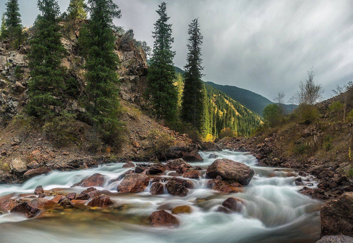 , Дмитрий Тишков