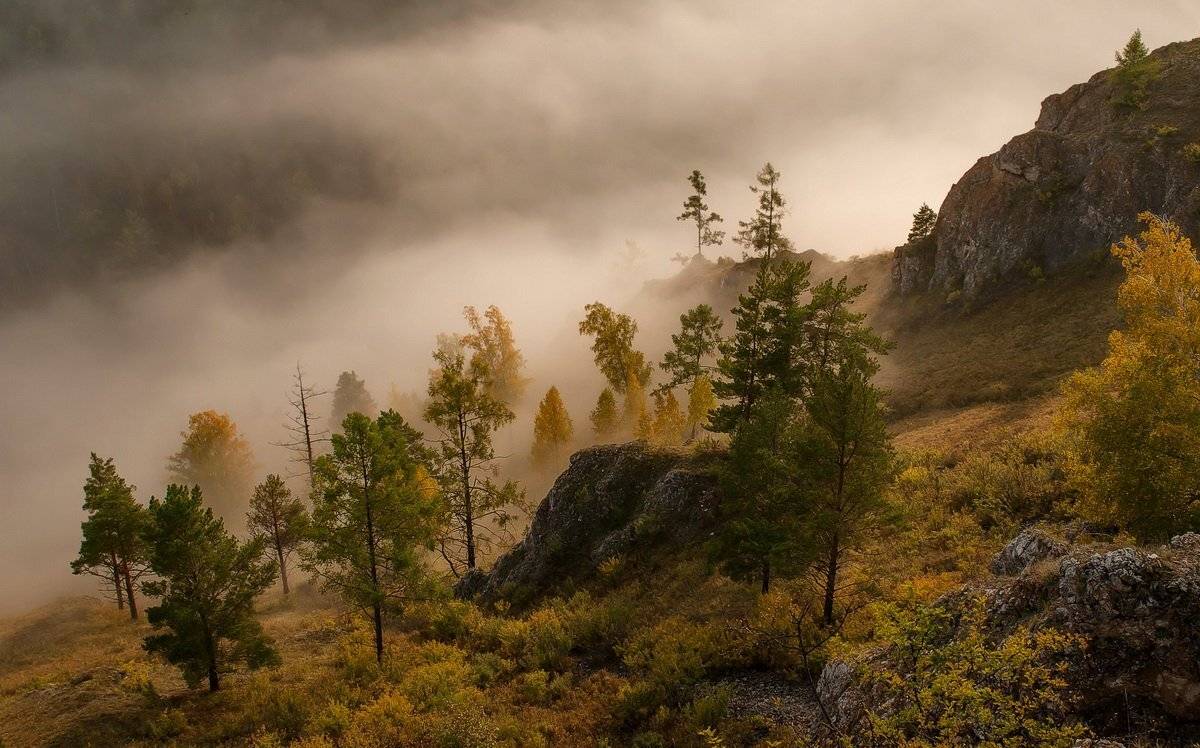 , Марина Фомина