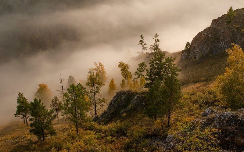 Туман и солнце. фото превью