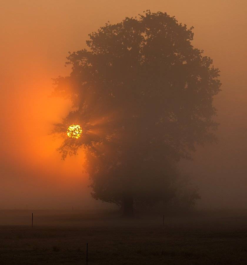, Pawel Plucinski