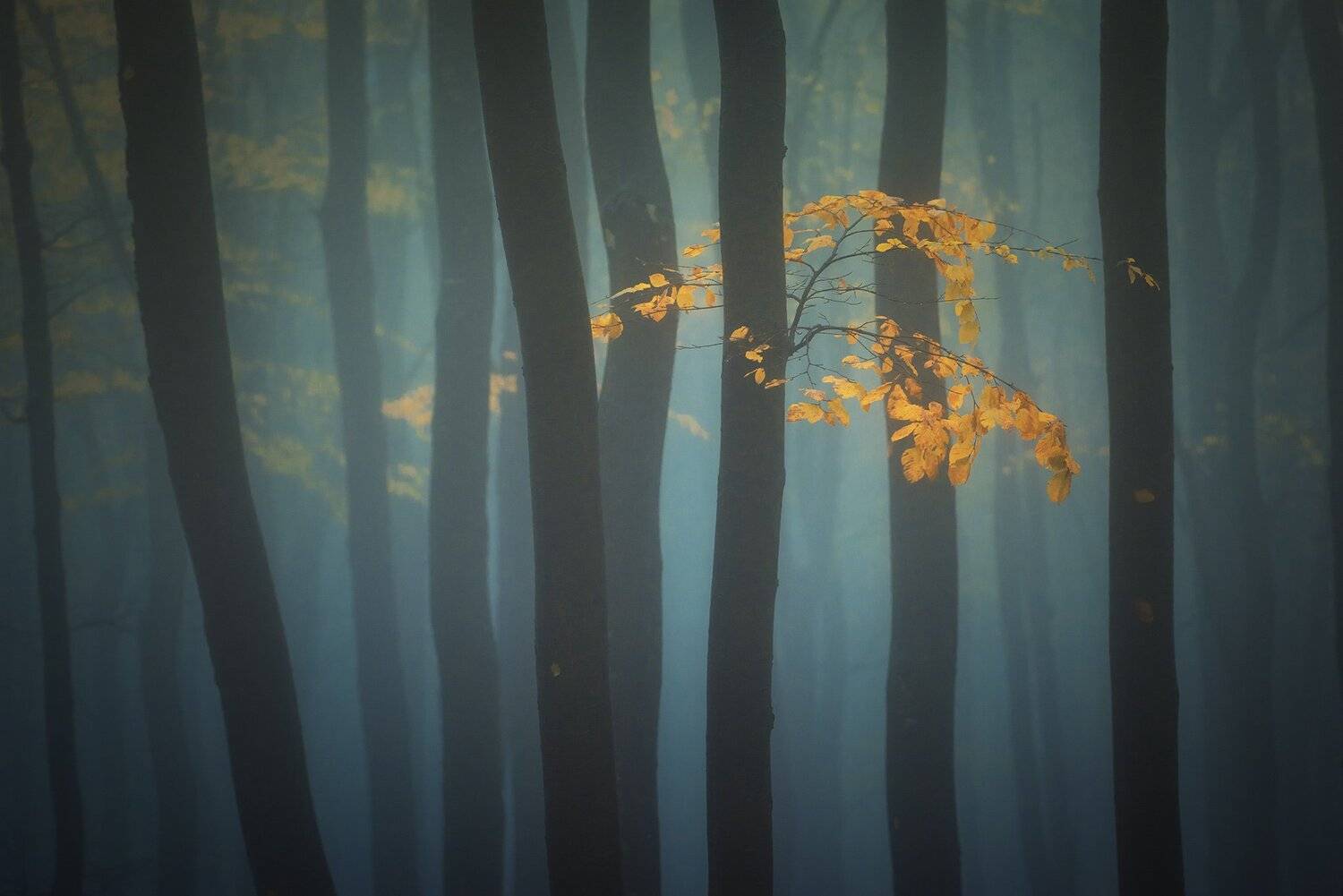 , Красимир Матаров