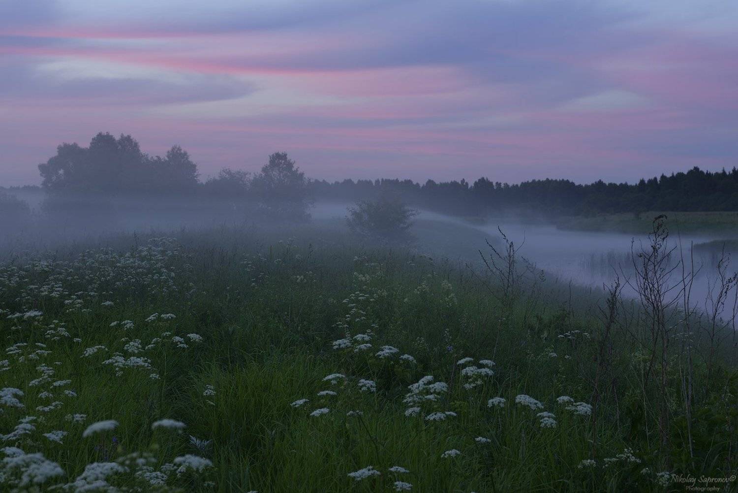Туман, Закат, Река, Берег, Травы, Пейзаж, Краски, Николай Сапронов