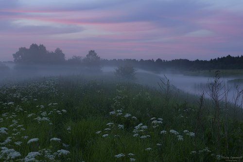 Молочные реки кисельные берега у Тезы под конец самого долгого дня в году