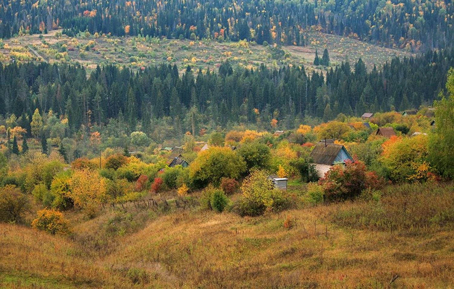 , Александр Казин