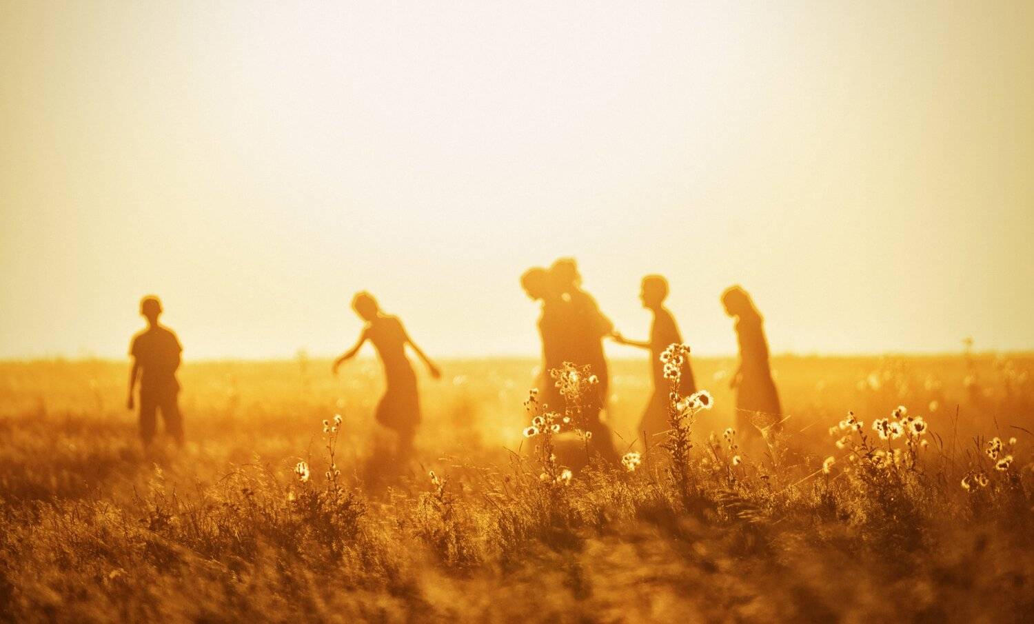 ***. Автор: Olari Ionut , Olari Ionut