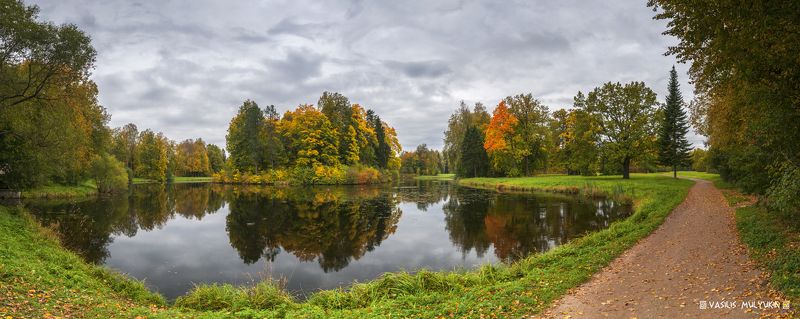 В павловском парке .... фото превью