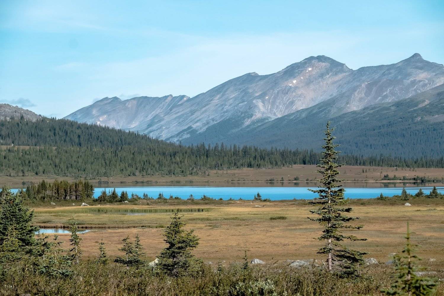 , Денис Семенов