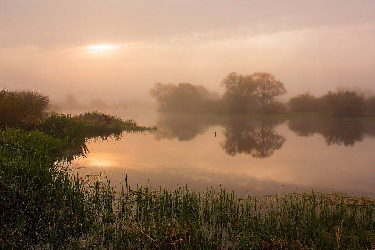 , Pawel Plucinski