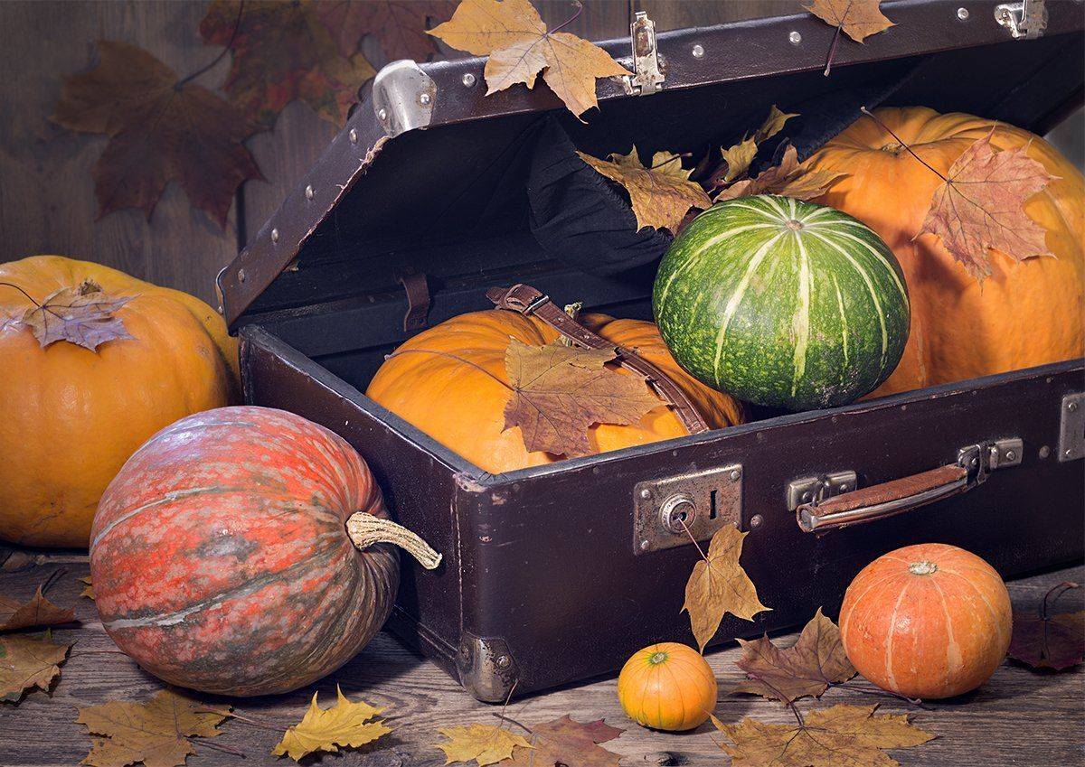 , Наталья Бочкарева