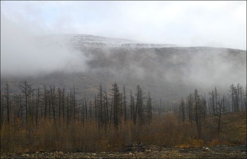 Осени серость