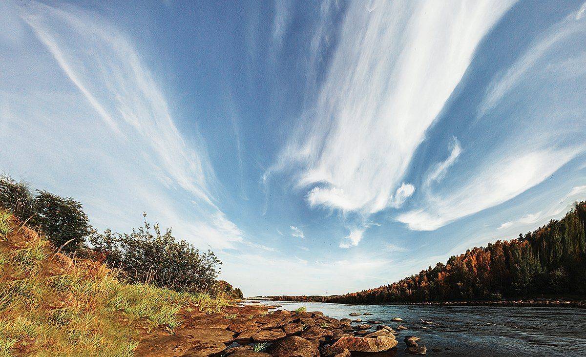 #art #illustration #drawing #draw #picture #photography #artist #sketch #sketchbook #paper #pen #pencil #artsy #instaart #beautiful #instagood #gallery #masterpiece #creative #photooftheday #instaartist #graphic #graphics #artoftheday, Подойницин Геннадий