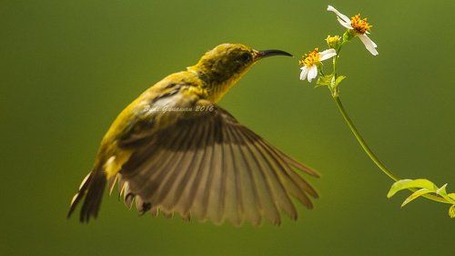 feeding time
