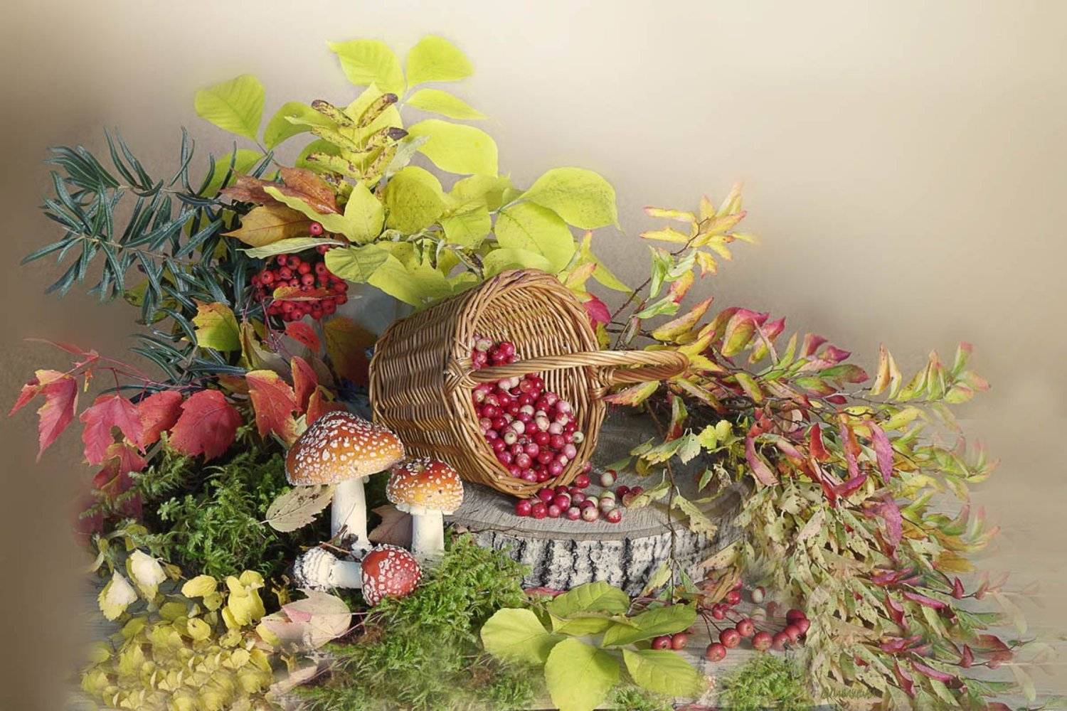 Клюква, Листва, Мухоморы, Натюрморт, Осень, Вера Павлухина