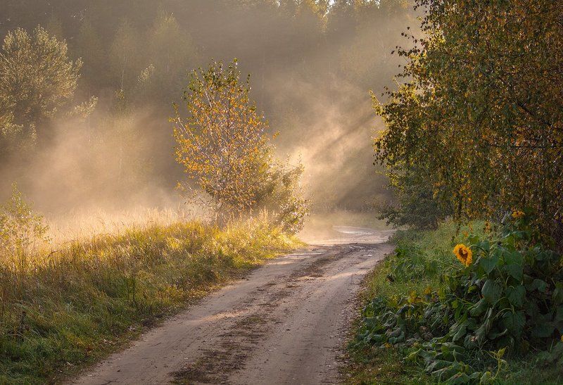 Осеннее утро фото превью