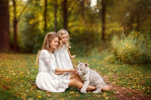 Игры с тигренком