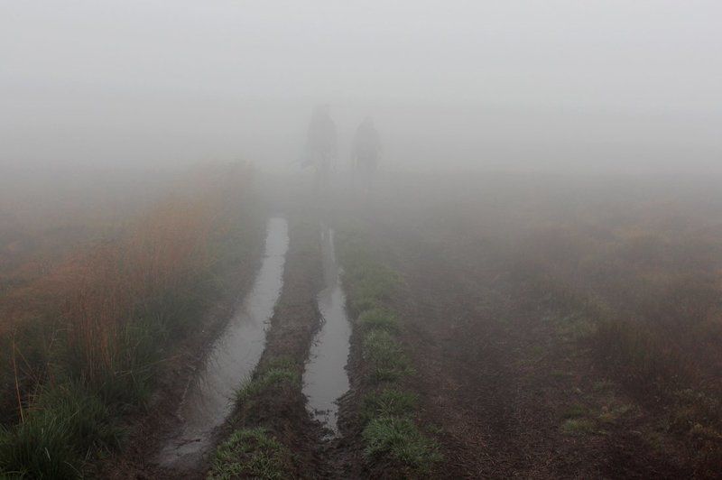две колеи фото превью