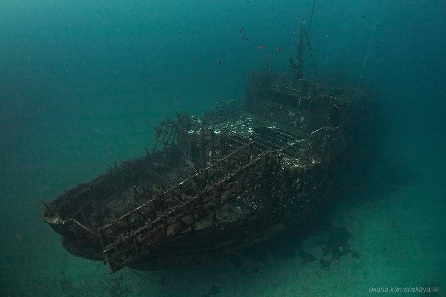 , Оксана Каменская