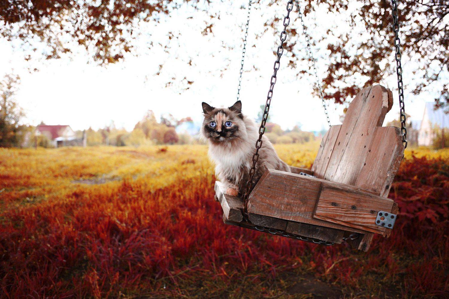 , Алинция Савельева