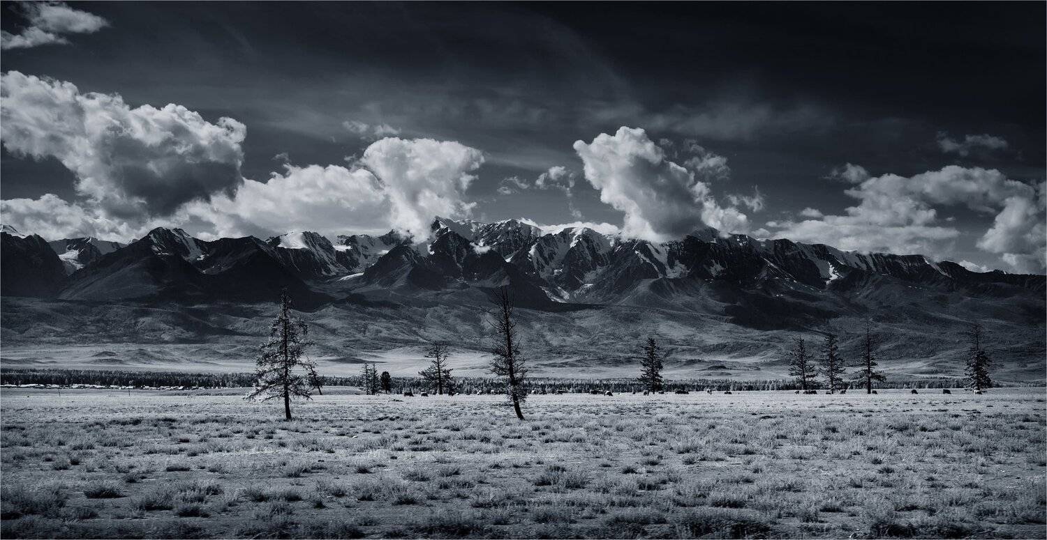 , Художников Павел