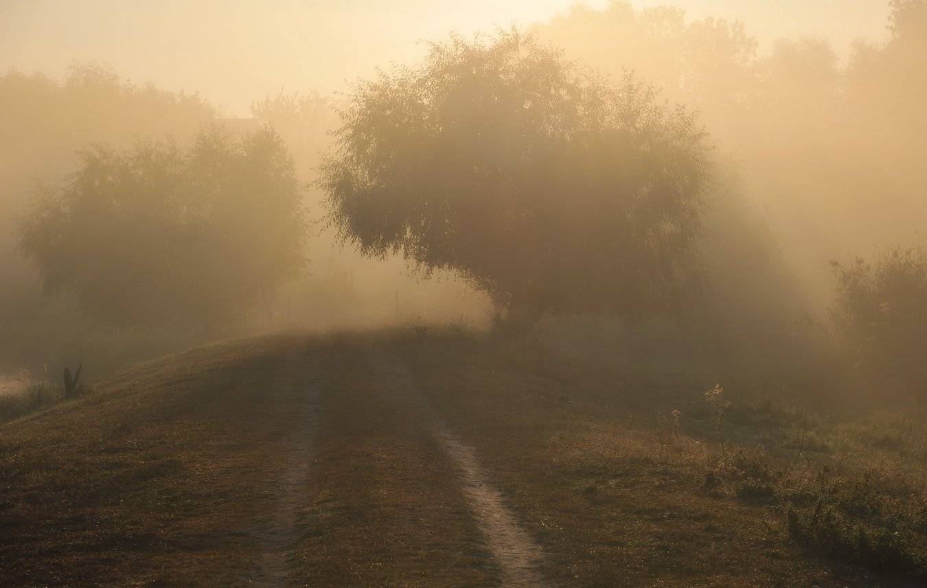 , Володимир Карчевський