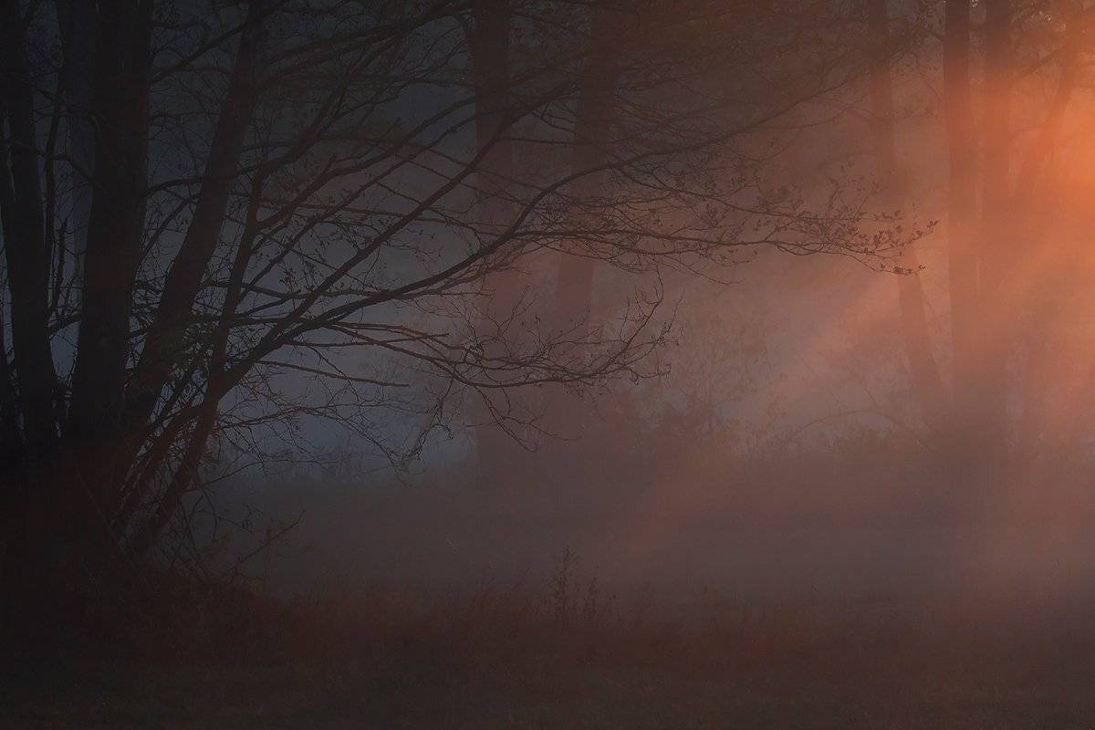 , Pawel Plucinski