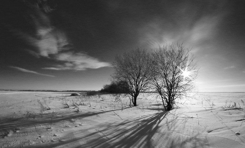 Зима, Снег, Чб 10.12 фото превью