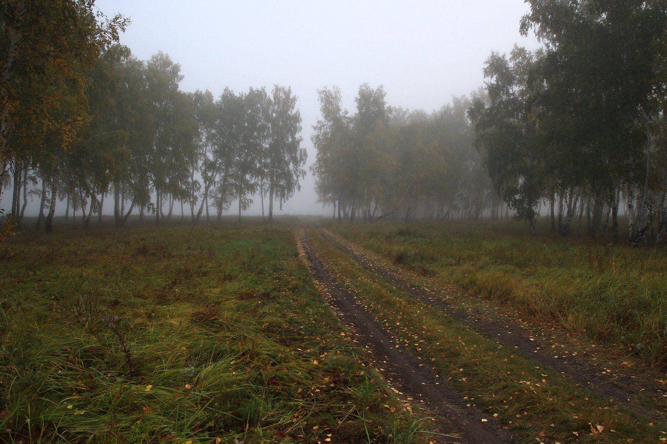 , Дмитрий Д.